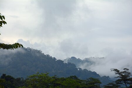 Sumatra ketambe gunung leuser national park