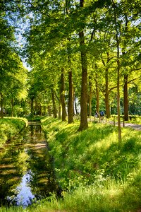 Green nature landscape