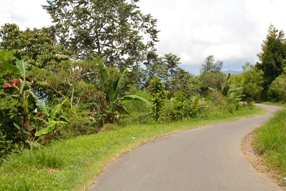 Indonesia sumatra surrouding takengon