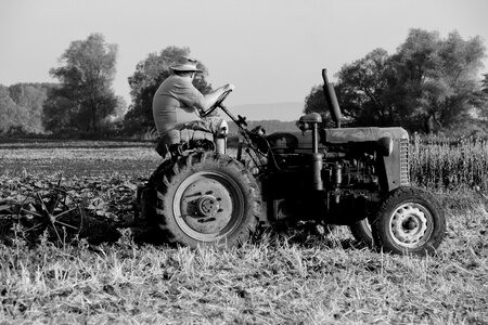 Field tractor tractor driver photo