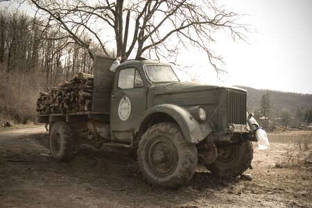 Countryside tree off-road photo