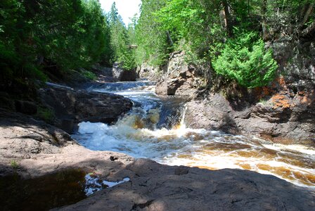 Trees flowing