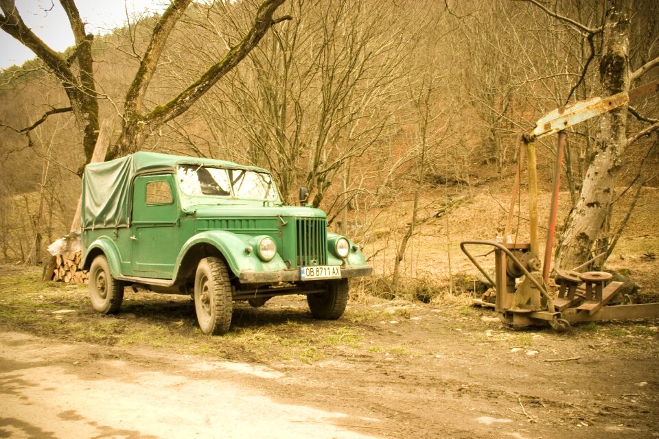 Countryside tree off-road photo