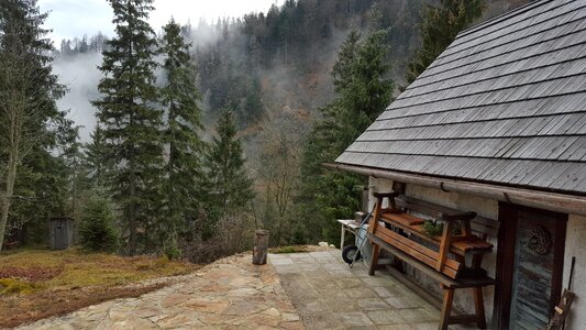 Alps forest haze