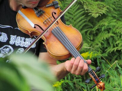 Music garden violinist photo