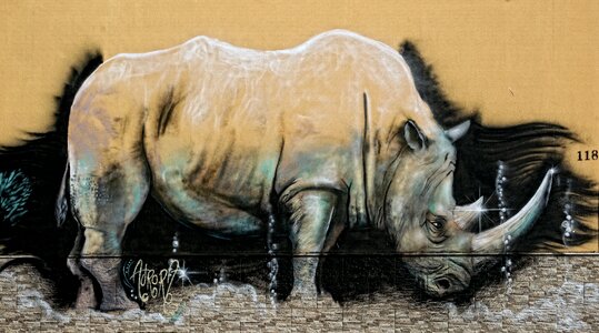 Wall painting artists