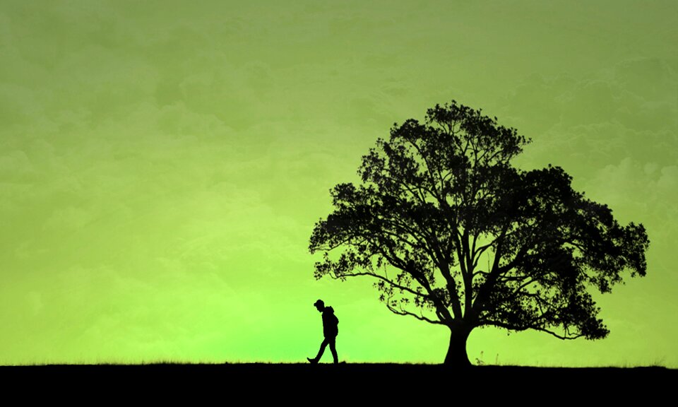 Guy the tree silhouette