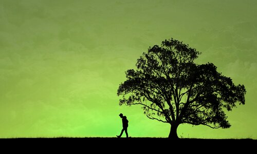 Guy the tree silhouette photo
