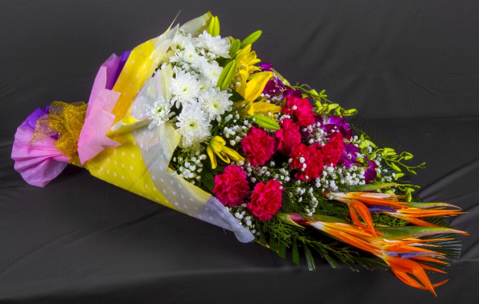 Designs arrangements