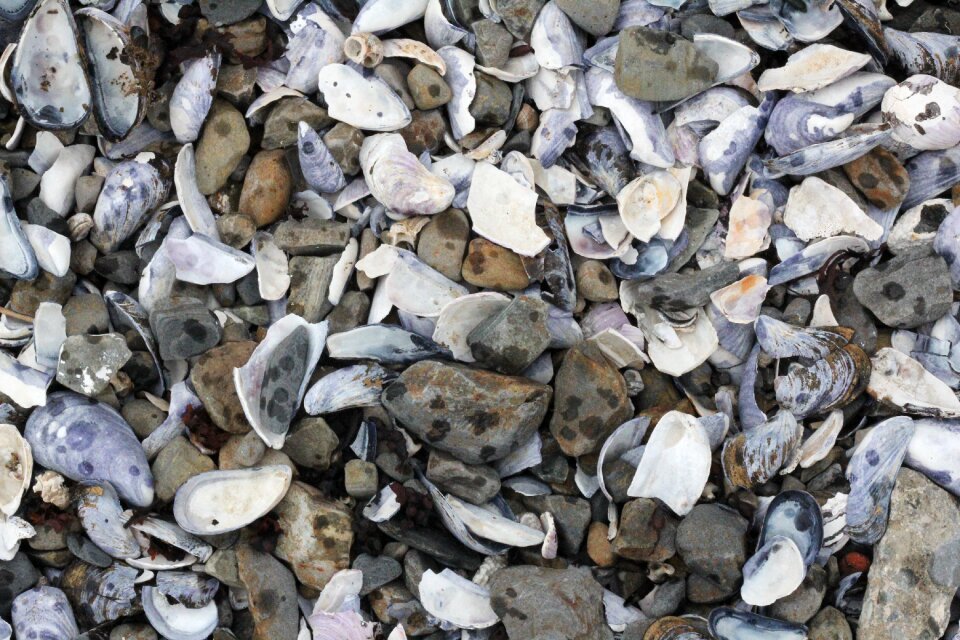 Rocks beach