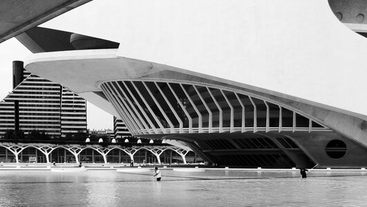 Calatrava landscaping water