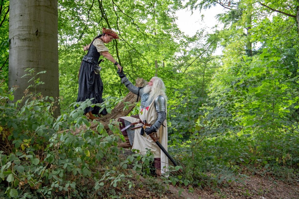 Fantasy dream magic fair