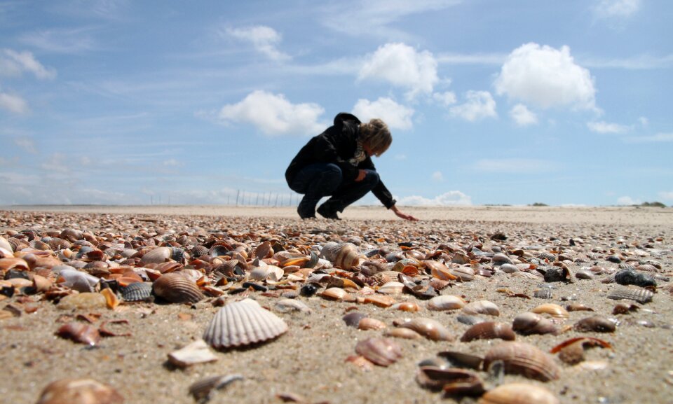 Vrouwenpolder beach sand