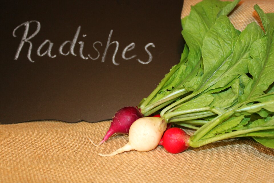 Radish organic salad