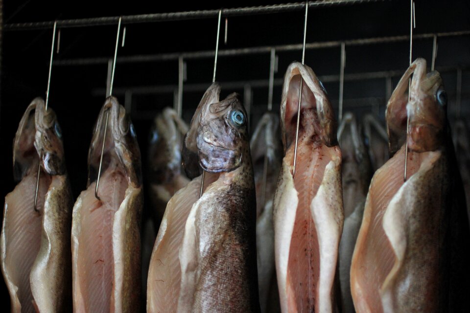 Smoked fresh specialty