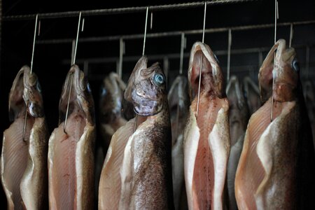 Smoked fresh specialty
