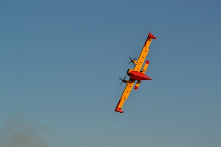Fire island blue fire