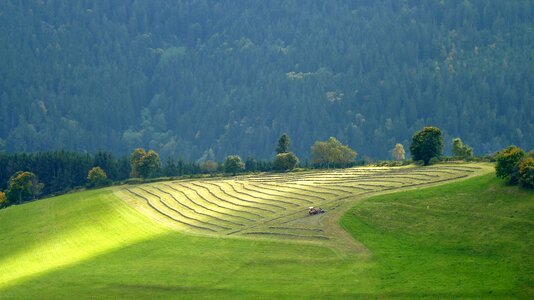 Nature summer agriculture
