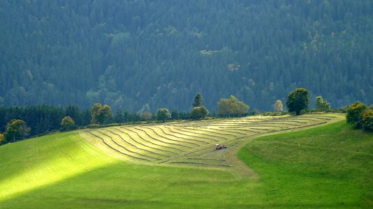 Nature summer agriculture photo