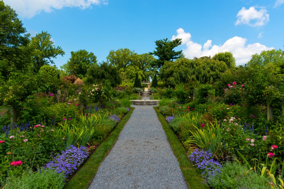 Estate blue sky green path