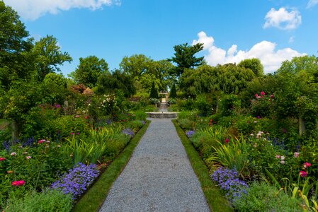 Estate blue sky green path