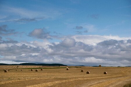 Straw clouds sky