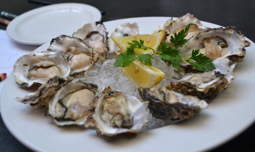 Seafood fresh platter photo