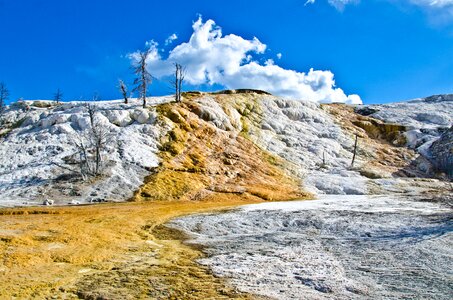 Mammoth hot springs scenic photo