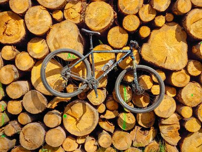 Mountain bike tree trunks tree