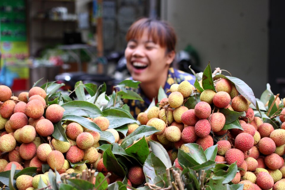 Food fresh fruit photo