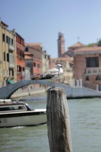 Venice italy sea
