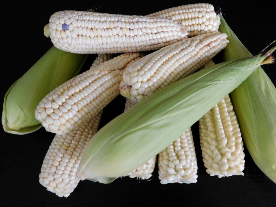 Agriculture healthy ingredient