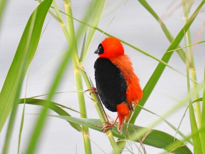 Colorful season nature