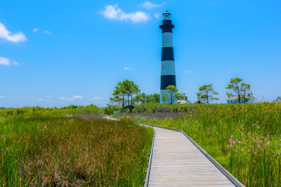Outer banks nature