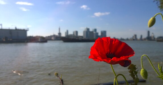 Canary wharf river thames