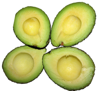 Vegetarian nutrition diet
