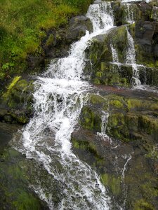 Moss bøur faroe islands