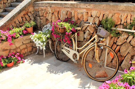 Decoration summer sunny
