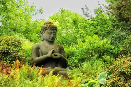 Buddha buddhism faith