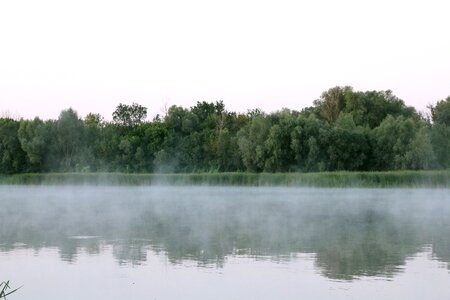 Trees sunrise nature photo