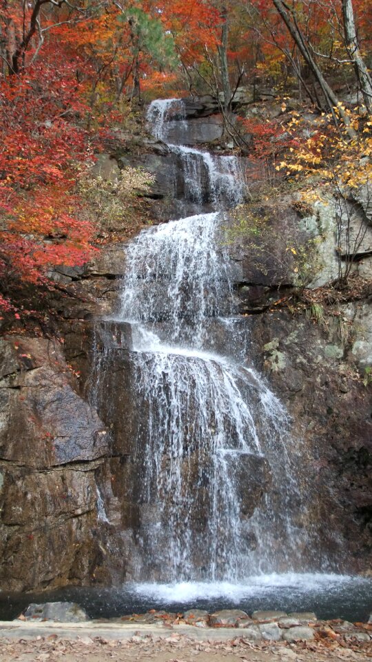 Nature water autumn
