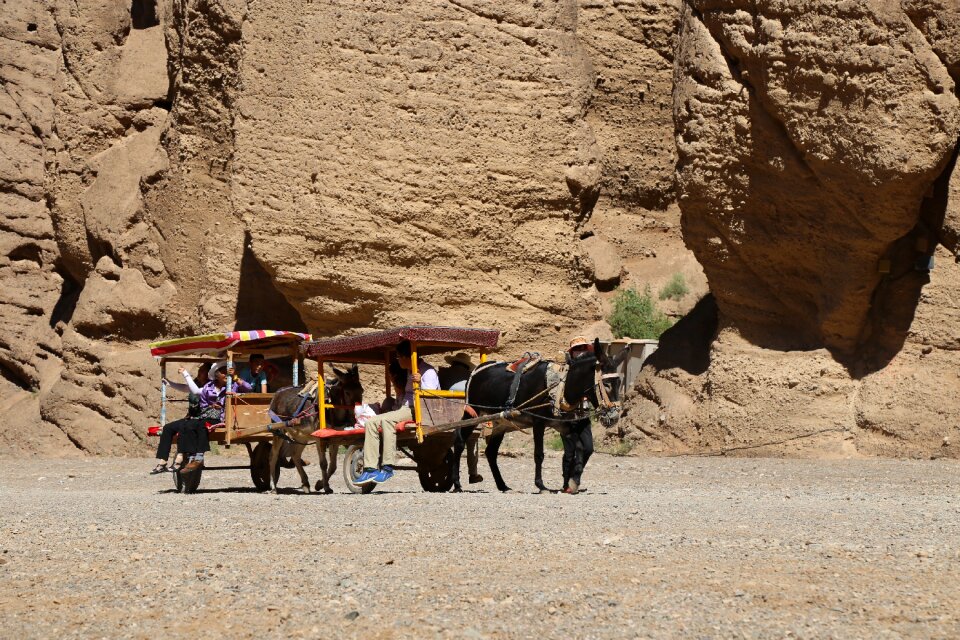 Yellow river forest china lanzhou
