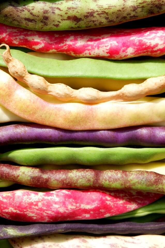 Garden pole beans sleeve