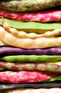 Garden pole beans sleeve