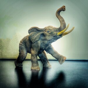 Statue animal