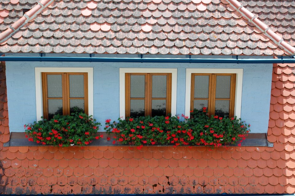 Old house facade facade