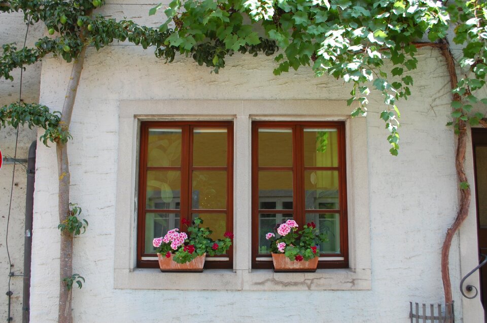 Window facade historic center
