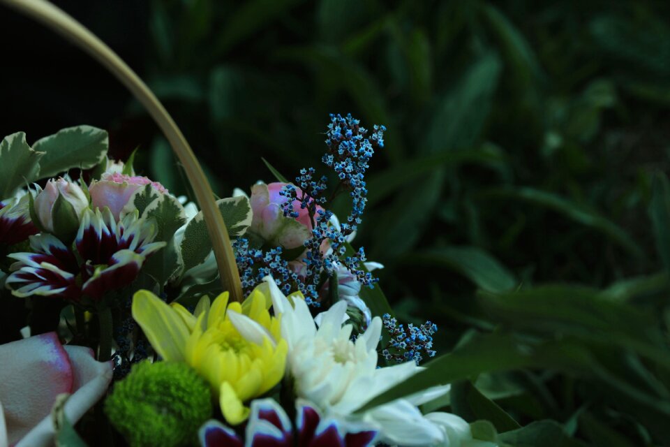 Instagram art flower