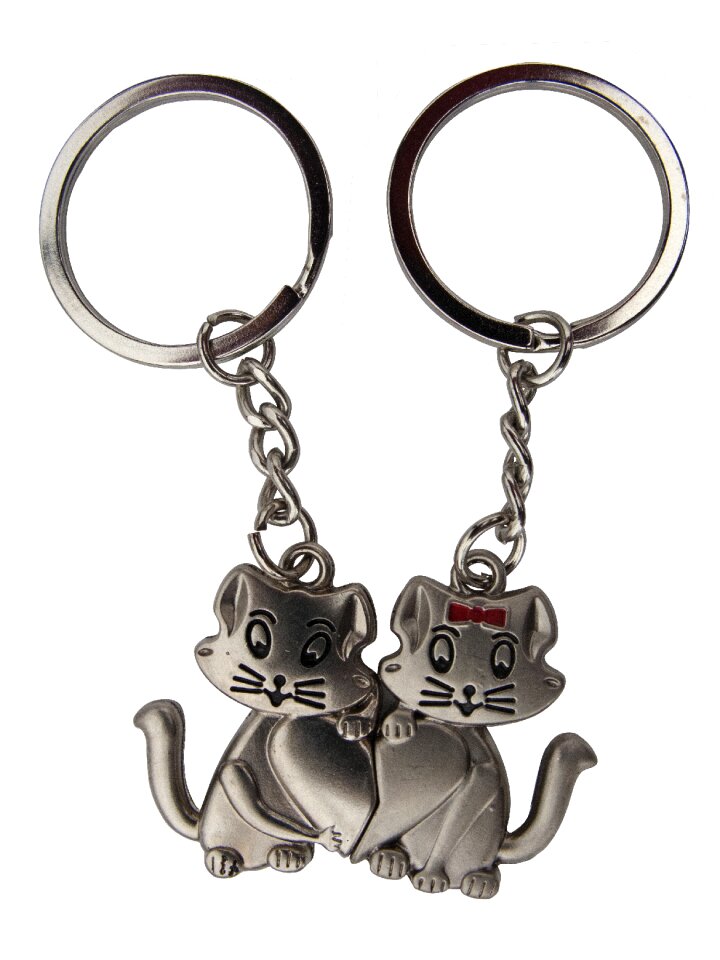 Door-keys key double