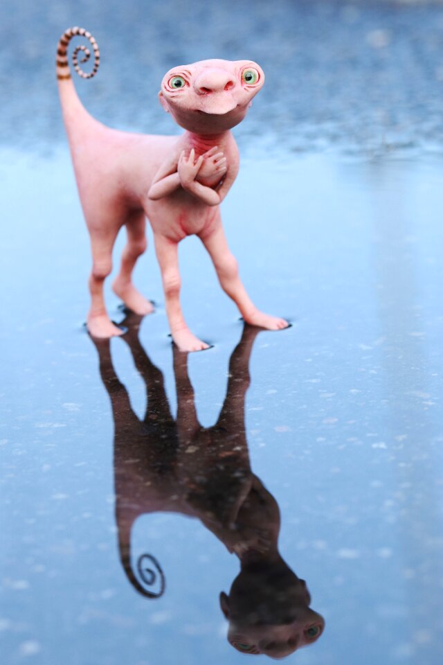 Reflection small